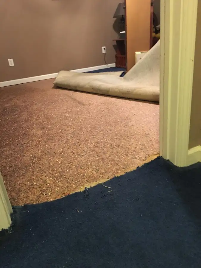 Carpet pad removal revealing water damage during Drying & Dehumidification in Hopkinton