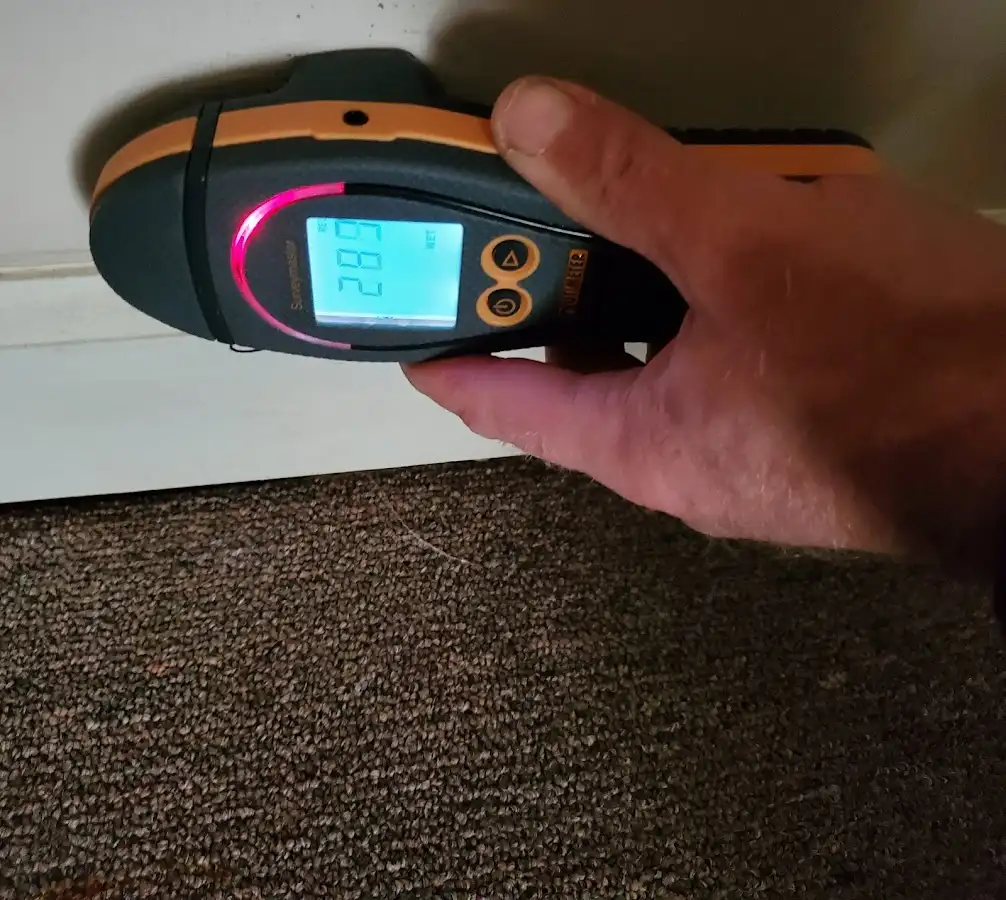 Moisture detection at baseboard during Mold Inspection & Testing in Hopkinton